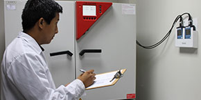 Descripcion de la imagen